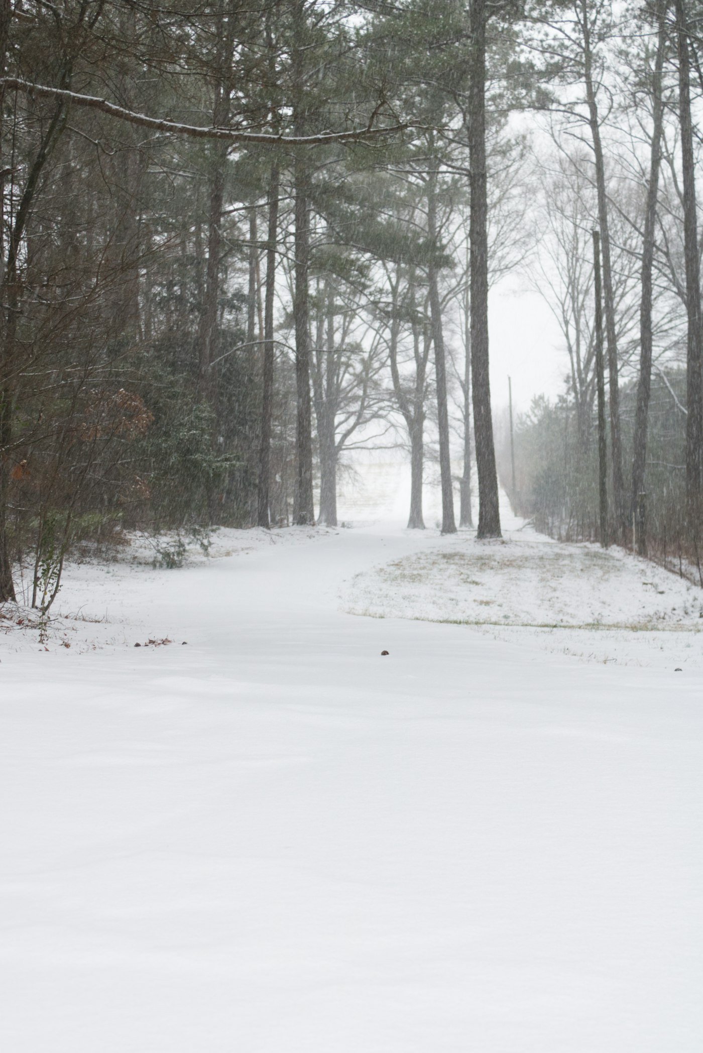 Snow falling over a residential yard and driveway in winter.